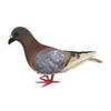 Realistic Pigeon Statue Artificial Bird Figurine Miniature Imitation Dove for Indoor Wedding Shelf Decor