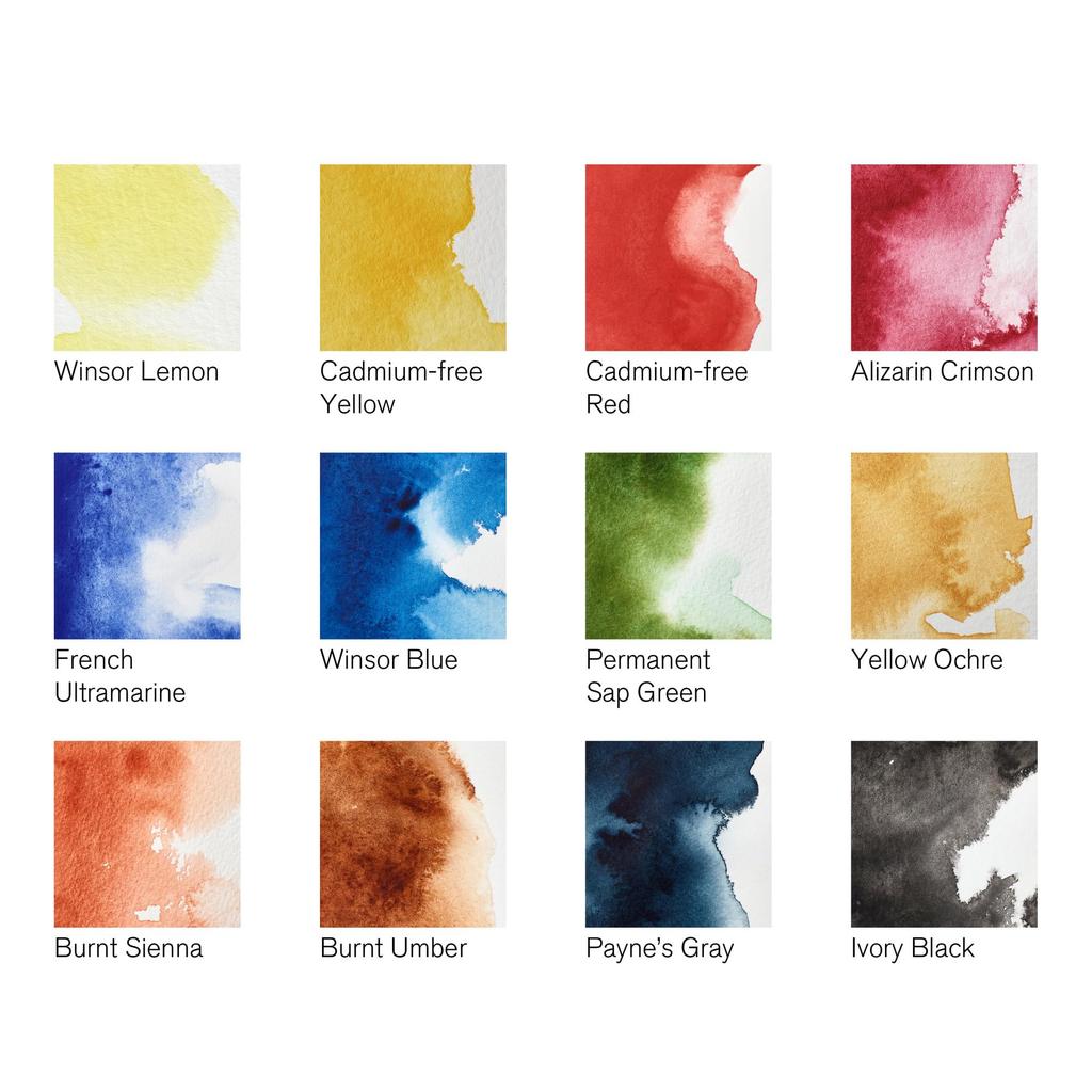 Набор акварельных красок Winsor Newton Professional Field Pocket 18809685 и набор, 12 штук (Кюветы)