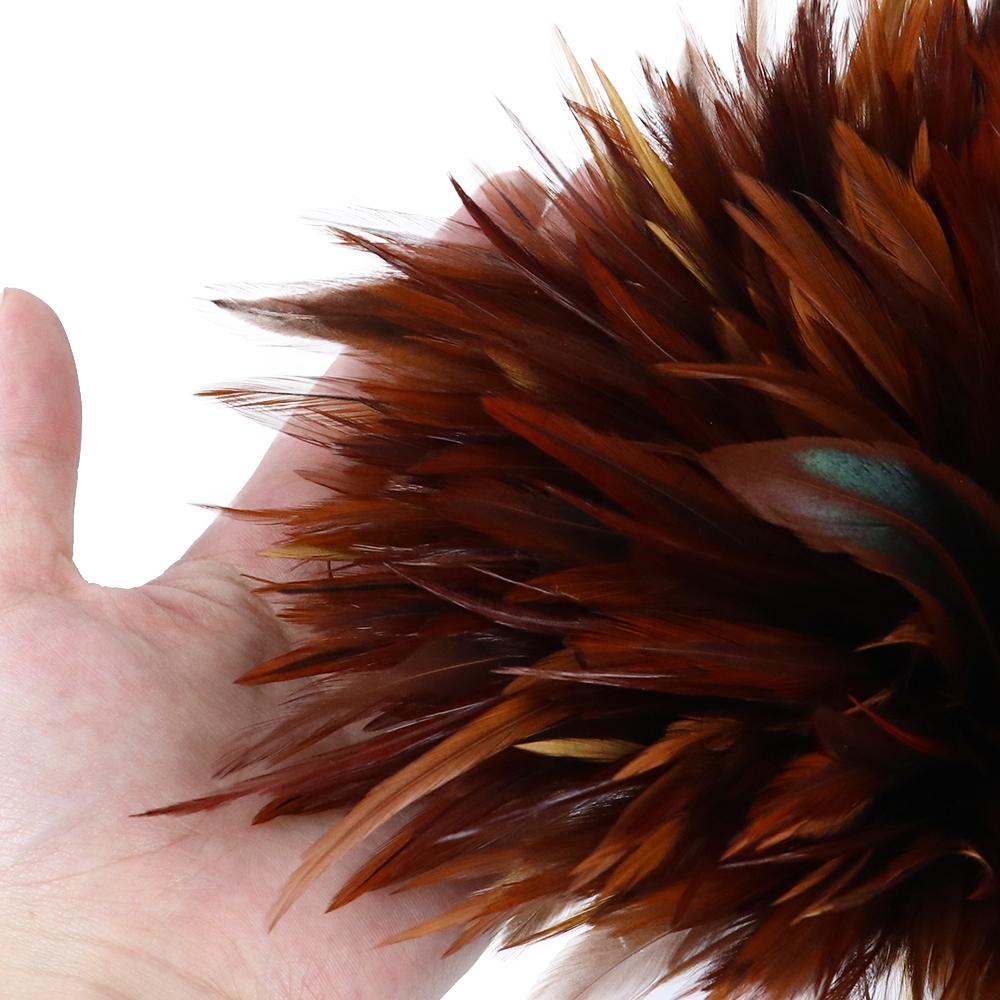 Петушиные перья лот 4-6 дюймов Карнавальная одежда Швейные принадлежности Ювелирные изделия Поделки Украшение Седло Хекл Петух Курица Плюмас