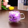 200ML Clear Glass Mug Double Wall Insulated Cup with Handle Aesthetic Dehydrated Flower Design Heat Preserving Tumbler for Coffee Tea