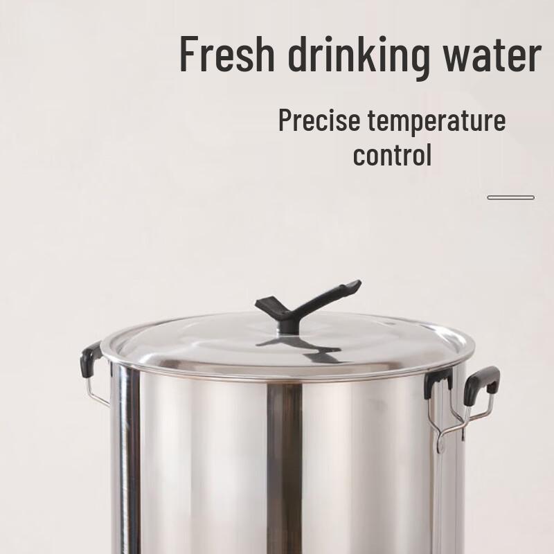 Sule 50L Electric Stainless Steel Hot Water Boiler with Faucet