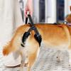 Регулируемый поддерживающий шлейка для собаки с прочной ручкой, стропа для поддержки бедер собаки, послеоперационная