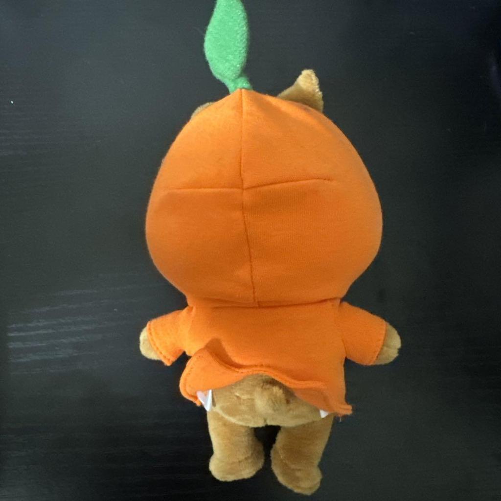 [USED] Han Han Quokka Mini Plush Toy Skzoo