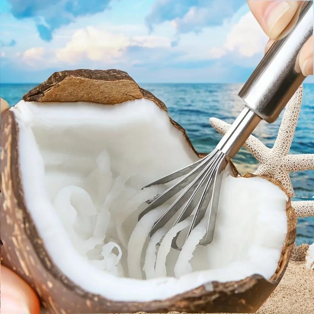 Stainless Steel Coconut Shredder Melon and Fruit Seed Remover Coconut Meat Scraper Fish Scale Planer Fruit Spoon Planer