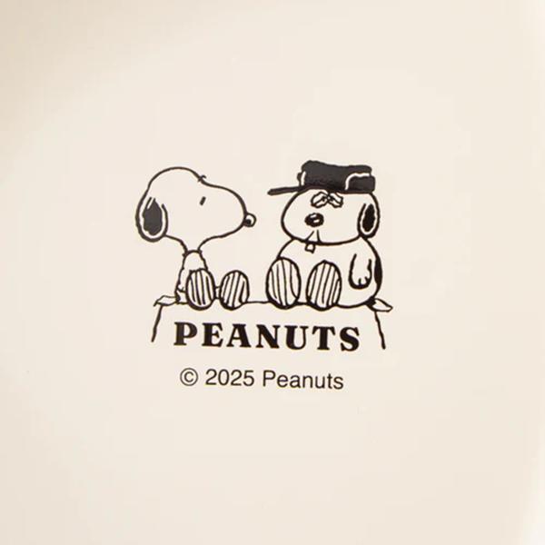 PEANUTS Snoopy Oval Plate With Divider ( CONTENT and HAPPY ) Snoopy Japan NEW
