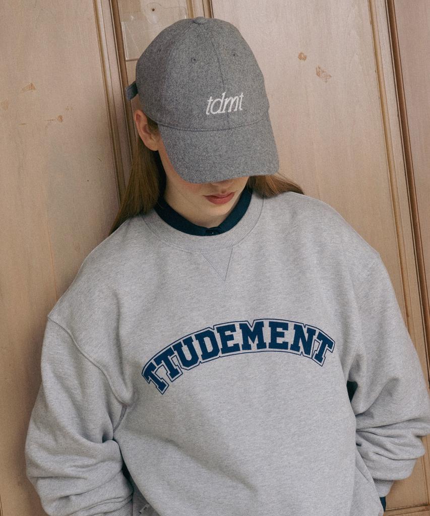 TTUDEMENT Tdmt Логотип Бейсболка Серая