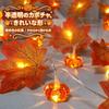 GOKEI Halloween Maple Pumpkin LED Light 40 Balls 6m 8 Color Changing Remote Control Waterproof Battery Box Operated Autumn Decoration
