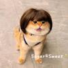 Comfortable Pet Wig Hair Festival Props Costume Wig Hair for Small Dogs Theme Event Pet Cosplay Accessory Headpieces