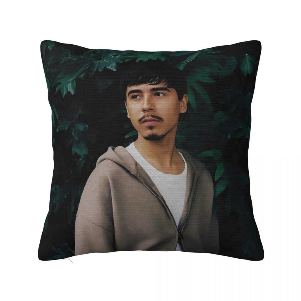 Handsome Ivan Singer Cornejo Pillow Cover Soft Pillow Case Cushion Cover Fashion Pillowcases For Chair Sofa Home Decoration
