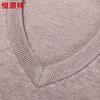 Hengyuanxiang Men's 100% Pure Wool V-Neck Sweater HJ198