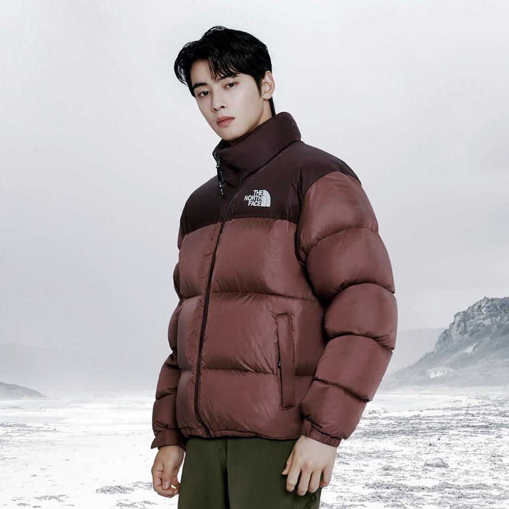 The North Face Мужская куртка Eco Nuptse 1996 года, бордовая, унисекс, корейская версия, NJ1DQ75C