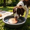 99.9 Percent Pure Copper Water Purifier Purification Disc for Dog, 4-Inch Diameter Disc, Pet Dispenser Cleaning with 3-Point Support Dog
