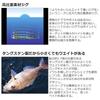 Daiwa (DAIWA) Tungsten Jig TG Bait 30 FH Glow Edge Silver