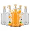 5x Tadek Glass Bottles 250ml For Liqueurs Alcohol Juice Set