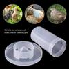 Automatic for Chicken Bird Drinking Fountain Pigeon Food Box Parrot Water Dispenser Pigeon Feeder