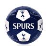 Tottenham TT04 PU Футбольный мяч №. 5 футбольных мячей с автографами Синий/Белый