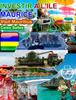 Книга INVESTIR A L'ILE MAURICE - Visit Mauritius - Celso Salles : Collection Investir En Afrique