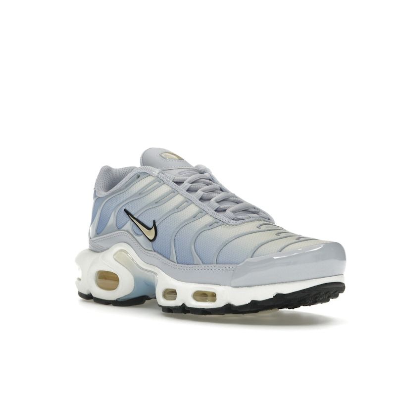 Nike Air Max Plus Daybreak женские кроссовки Blue Ghost Aluminum DZ3670-004
