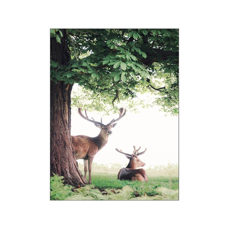 Скандинавский весенний пейзаж, холст, картина, постер, дикий цветок, животное, лиса, лось, белка, природа, одуванчик, современная картина, домашний декор