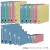KOKUYO File D-Ring File A4 300-sheet capacity Gray F-FD430NM