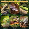 BNOSDM Bearded Dragon Windows Perch Reptile Hammock with Strong Suction Cups Soft Warm Lizards Bed Double Layered Cage Accessories for Chameleon,