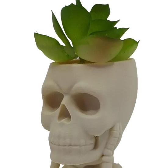 Yousheng Хэллоуин Череп Цветочный Горшок Ничего Не Вижу Не Говорю Не Слышу Жуткий Череп Кашпо Домашний Балкон Садовое Украшение Контейнер для Кактусов Суккулентов Растений