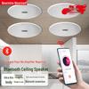 Беспроводная Bluetooth потолочная акустическая система Newmine K-908A
