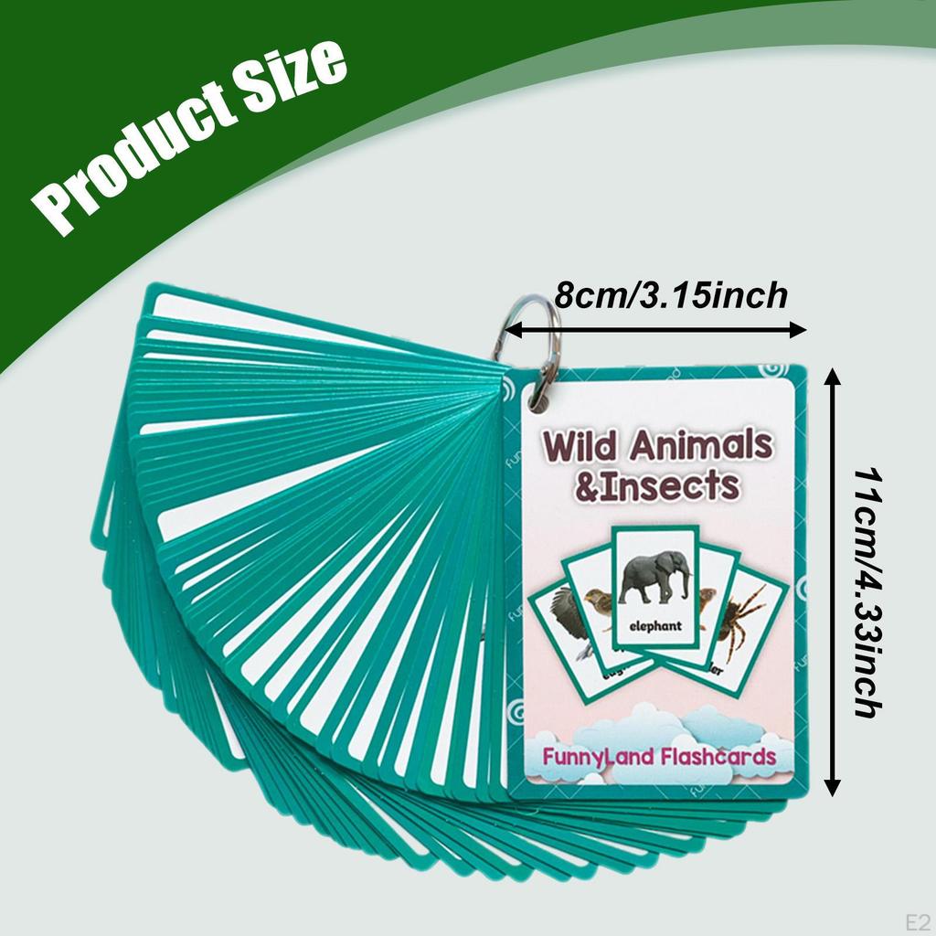 48x Animals Flash Cards Learning Toys Teaching Kids Gifts Memory Pocket English Flashcards for