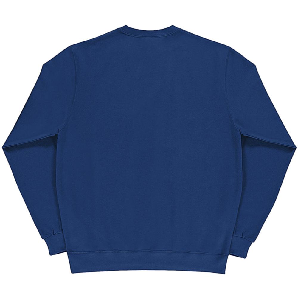 SG Ladies/Womens Crew Neck Long Sleeve Sweatshirt