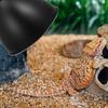 Рептилии Тепловая Лампа Тень Железный Отражатель Купол Тень Лампы Замена Изолированная для Ящика Террариума Ящерица Змея Черепаха Рептилия Тень Лампы