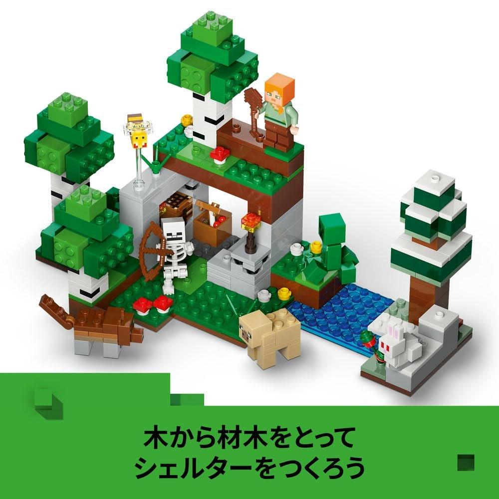 LEGO Minecraft The First Night Adventure 21593 Building Toy Set for Boys and Girls