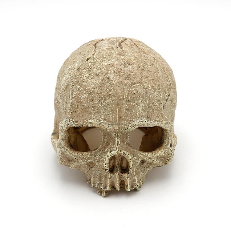 Популярная серия «Черепа» для террариума, украшение для змей и ящериц — декорации для аквариума и укрытия для домашних животных