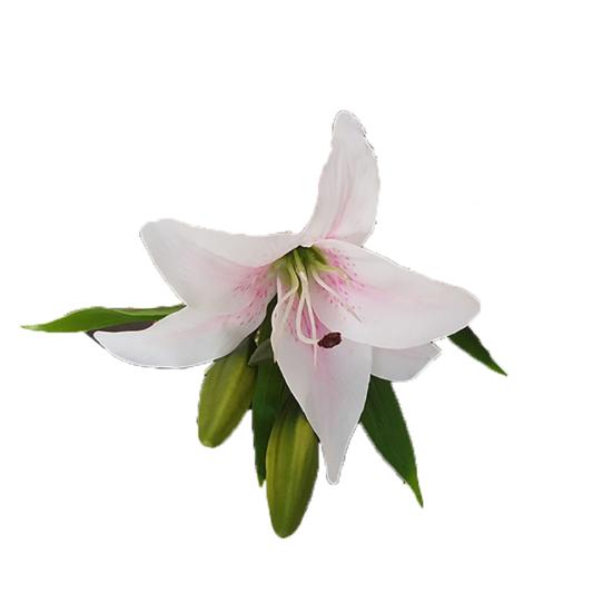 1 шт. 3 головки сладкий искусственный цветок поддельные лилии цветочный домашний декор для свадебной вечеринки