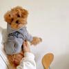 Comfortable Pet Clothes Pullover Design Puppy Costume New Dog Apparel  Outdoor
