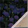 CD MUSIC THERAPY - Gardening Sound Collection-"Edelwei COCQ83128 Japan Sound Effects & Nature Used