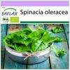 Organic - Шпинат - Giant Winter - 250 семян - Spinacia oleracea