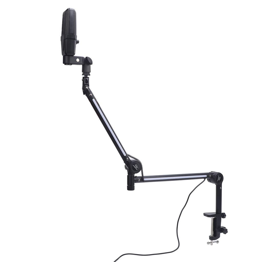 USB Condenser Microphone Adjustable Desktop Microphone Stand RGB Mic Stand Kit for Home Live Streami