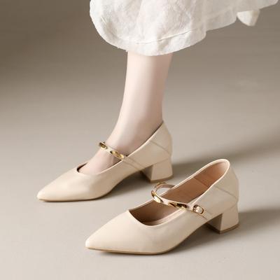 Новые туфли Мэри Джейн на толстом каблуке женские 2025 весна и осень новые французские остроносые металлические с перемычкой на среднем каблуке одинарные туфли