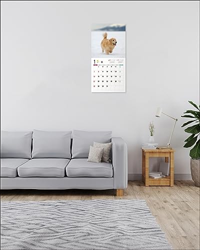 Календарь 2024 Золотистый ретривер (Календарь Seibundo Shinkosha)