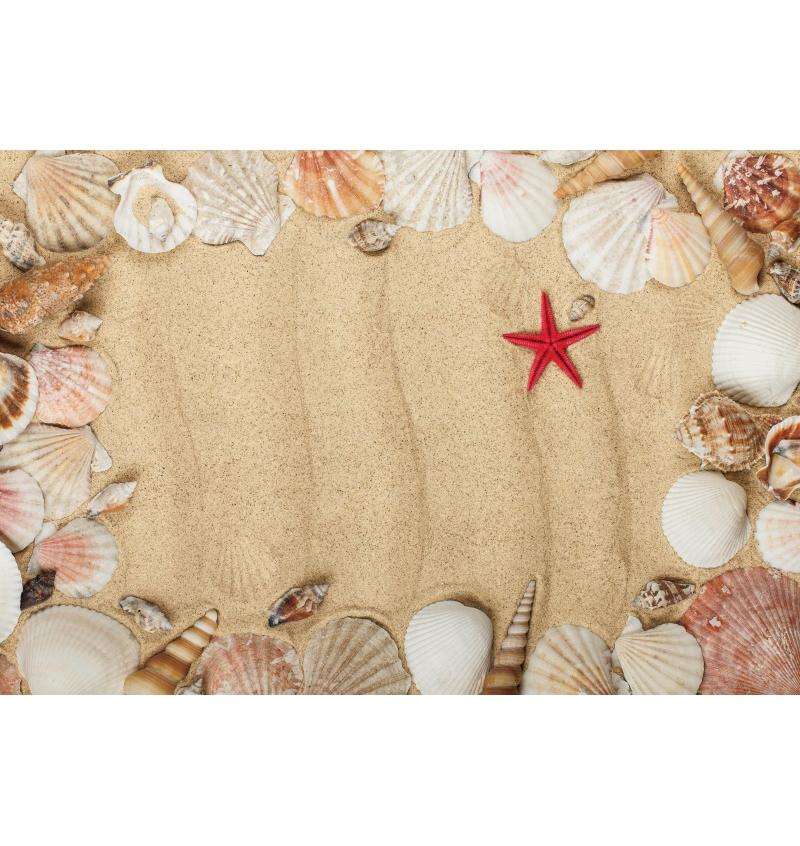 Tropical Beach Backdrop Decoration Seashell Starfish Summer Vacation For Pool Party Celebration Backgrounds For Photographs