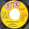 7-дюймовая пластинка ANTHONY B - Natural Mystic NONE Fat Eyes Record 2006 Ямайка Регги, Ска и Даб Б/У