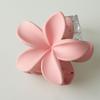 Decorations Fashion Flower Hair Claws for Women Plastics Crab Clamps Frosted Ponytail Shark Clip