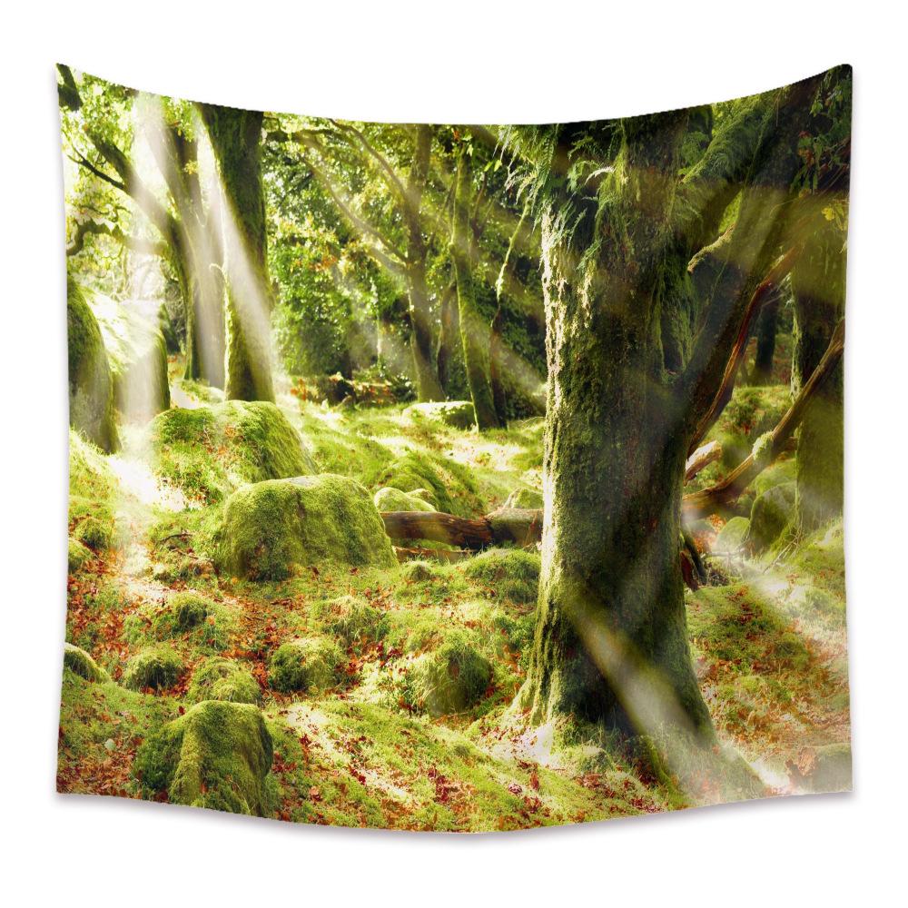 Гобелен Главная Богемный гобелен Украшение комнаты Гобелен Фон Ткань Гобелен Пейзаж Гобелен
