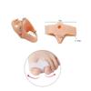 1 Pair Toe Separators Corrector Spacer Finger Protector Toe