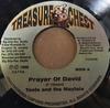7-дюймовая пластинка TOOTS & THE MAYTALS - Prayer of David TC0006 Treasure Chest 1999 Ямайка Регги, Ска и Даб Б/у