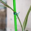 50/100M Gardening Zip Ties Cutting Zip Ties Climbing Vine Plants Fixing Ropes Tying Ties Flower Knot Brackets