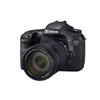 Canon EOS 7D DSLR Camera + EF-S 18-135mm F/3.5-5.6 IS Zoom Lens