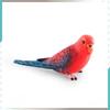 Ара Попугай ПВХ Модель Животного Декор Для Детей И Любителей Птиц Идея Подарка