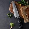 Kitchen Fruit Knife G10 Handle Damascus Steel 8 Inch Chef Knives Cleaver Paring Slicing Knife