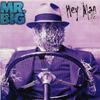 CD MR. BIG - Hey Man 7567806482 Atlantic 1996 Germany Rock Used